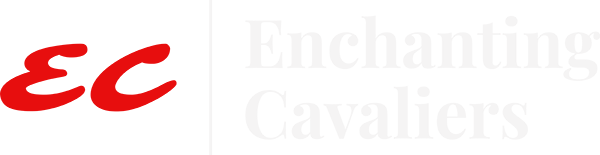 Enchanting Cavaliers
